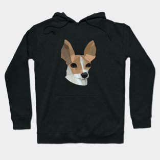 Chihuahua Hoodie